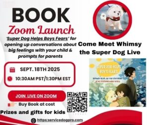 Zoom-Book-Launch-with-book